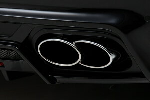 @h|VF JCG 9YA (2018y`) SPORTS LINE BLACK BISON EDITION }t[Jb^[ TWIN240 x 2