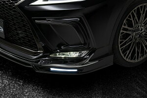 ���@���h���N�T�X RX300 F SPORT AGL20W ��� SPORTS LINE �_�N�g�J�o�[