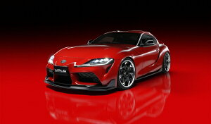 @hX[v DBn SPORTS LINE 3PLbg (F A RAT/S)