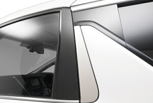 @hAt@[h 30n J[{s[pl ubNJ[{