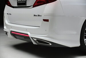 @hAt@[h 20n/ATH20 (H23/11`H27/1) SPORTS LINE BLACK BISON EDITION }t[A_v^[ BLACK BISON