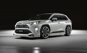 @hRAV4 50n G/X SPORTS LINE 3PLbg (F S R)