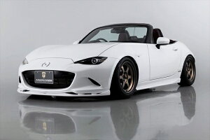 GCQC[hX^[ ND AIMGAIN SPORT tLbg (3Zbg)FRP