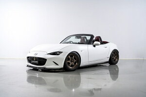 GCQC[hX^[ ND AIMGAIN SPORT tLbg (3Zbg)J[{