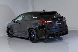 GCQCRX450h/200t F SPORT VIP EXE AQ[gX|C[
