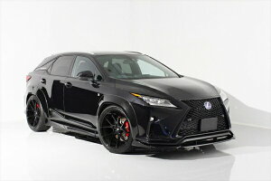 GCQCRX450h/200t F SPORT VIP EXE p[tFNg{fB[Lbg