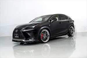 GCQCNTXNX300 F-SPORT AGZ10/15 AIMGAIN SPORT tLbg ( 3Zbg )