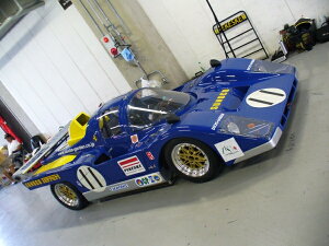 _bNXK[f_bNXK[f DUCKS-GARDEN 512M JEZbg (Ferrari tF[ (512M)