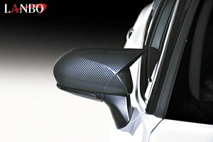 ランボカムリ AXVH70/75 アームドドアミラーカバー カーボン柄