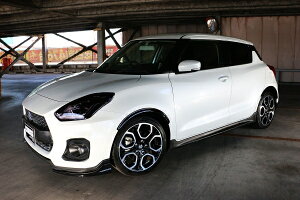 eCNItXCtgX|[c ZC33S CSSP 傱ƃtF_[ FRP