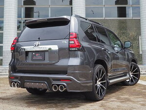 GtH[hhN[U[ vh 150 (`2021/5܂) An[tX|C[ &4{o}t[ 115ӃT[Ne[}t[t