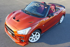 GXP[gRy LA400K [u ESQUELETO STYLE {lbg FRP CJo[t