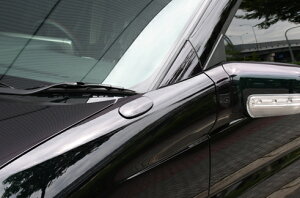 エクスクルージブ ゼウスエルグランド 後期 ( E51 ) GRACE LINE ミラーカバー G30カラー 塗装済