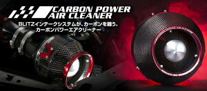 ubcF[nCubh RV5/6EtBbgnCubh GR3/4/6/8 CARBON POWER GAN[i[