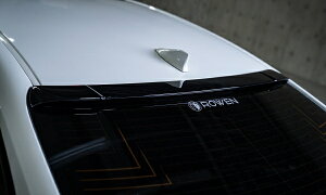 ���E�F���N���E�� 220 RS ���[�t�X�|�C���[ FRP�� �h���� �V���o�[���^���b�N (1F7)