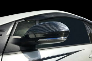 EFvEX ZVW50n  J[{~[Jo[ Wet Carbon (NAh)