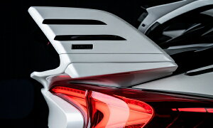 ロウェンC-HR 11/10/50 リアウイングアンダーフィン FRP 塗装済 オレンジメタリック