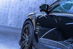 ���E�F��C-HR ZYX11/NGX10/NGX50 RR�t�����g�t�F���_�[ FRP �P�F�h���� �u���b�N�}�C�J