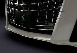 VNuCYAt@[h 30n  SilkBlaze XeXop[OJo[6P