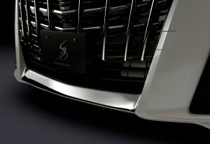 VNuCYAt@[h 30n  SilkBlaze XeXop[bvJo[1P