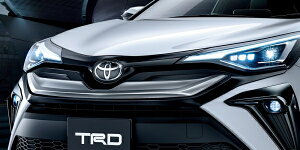 TRD eB[A[fB[CHR 10/50n  tgop[K[jbV MS312-10003