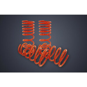 ChebNGuC DA17W/Vp RIDE-TECH [_ETX 1䕪