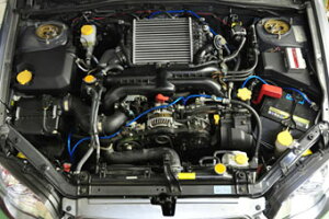 xCvbT GVB/GVF A[VOLbg