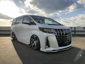 VbNXZXAt@[h 30  SO[hp tgtbvX|C[ h