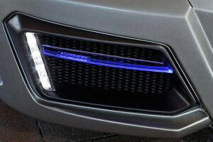 uCrWNTX LEXUS LS460/LS600h O LEDANtB (tgEZbg) u[