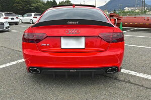 oXCbgAUDI RS5 2010- Duck Tail Carbon