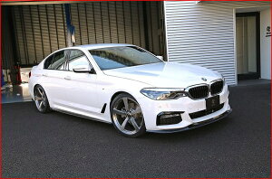 3D fUCBMW 5series G30/G31 M-Sport TChXJ[g J[{