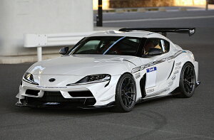 COXGR X[v DBn ings N-SPEC 3PGAZbg FRP+CARBON