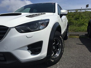 [hnEXCX-5 KE KADDIS DIS AR4I[o[tF_[