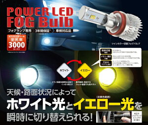 ���[�V���O�M�ARG POWER LED�t�H�O�o���u �c�C���J���[ PSX26W
