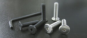 A[eBVXsbcARTISAN SPIRITS NUMBER PLATE BOLT SET Vo[