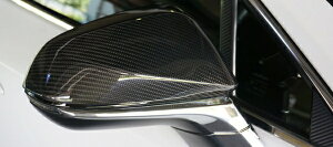 A[eBVXsbcLEXUS RX300/450h GL20n  Sport Line BLACK LABEL J[{~[Jo[ (CFRP)