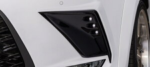 A[eBVXsbcLEXUS RX300/450h GL20n  Sport Line BLACK LABEL op[K[jbV