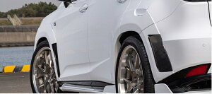 A[eBVXsbcLEXUS RX300/450h GL20n  Sport Line BLACK LABEL I[o[tF_[Lbg 10P 30mm WIDEiCFRP+FRPj