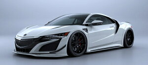 A[eBVXsbcNSX NC1 SPORTS LINE BLACK LABEL tgJi[h2P CARBONiCFRPj