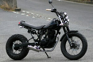 ACYACY Realize 100ӖCe TW200/225 Type3 (3Ȃ)(BA-DGO7J/BA-DG09J)