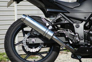 ACYACY Realize AA Ninja jW250R (EX250K) XeX TypeS