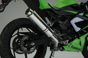 ACYACY Realize AA Ninja jW250SL (BX250A) XeX TypeS
