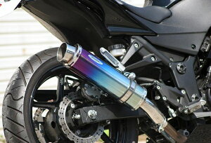 ACYACY Realize AA Ninja jW250R (EX250K) `^ TypeS