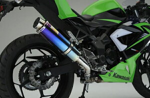 ACYACY Realize AA Ninja jW250SL (BX250A) `^ TypeS