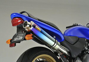 ACYACY Realize AA HORNET z[lbg250 (MC31) `^ TypeC