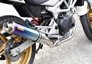 ACYACY Realize AA VTR250 (MC33) `^ TypeC