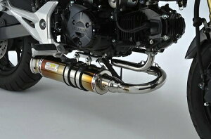 ACYACY Realize LAGUNA GROM/MSX125 Ti