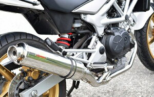 ACYACY Realize AA VTR250 (MC33) XeX TypeC