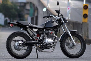 ACYACY Realize 100ӖCe FTR223 Type3 (3Ȃ)(BA-MC34/JBK-MC34)