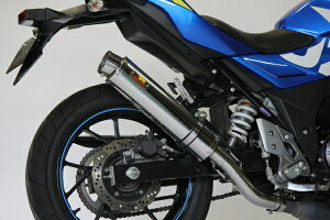 ACYACY Realize AA GSX250R (2BK-DN11A) XeX TypeC